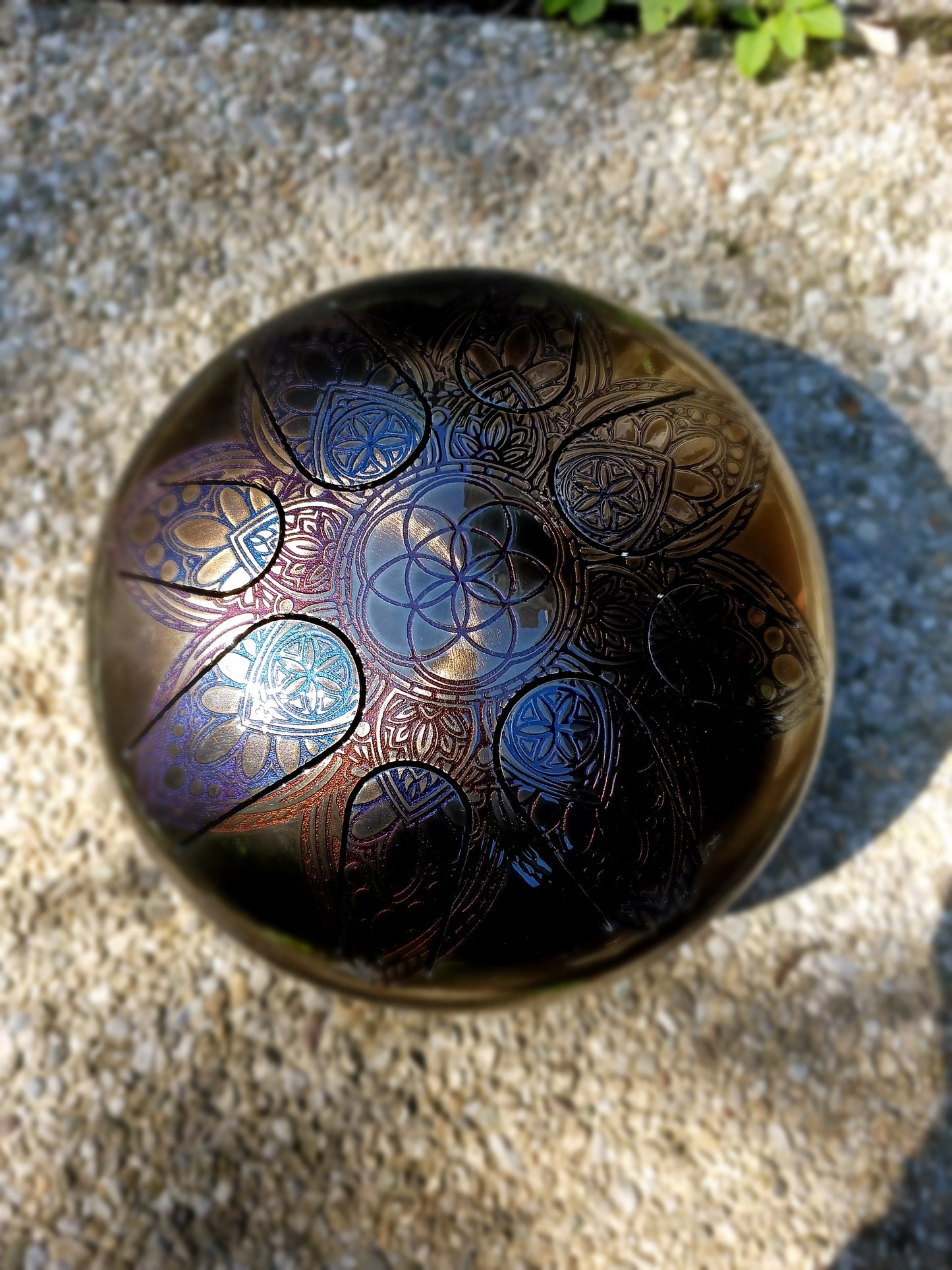 Flower of life