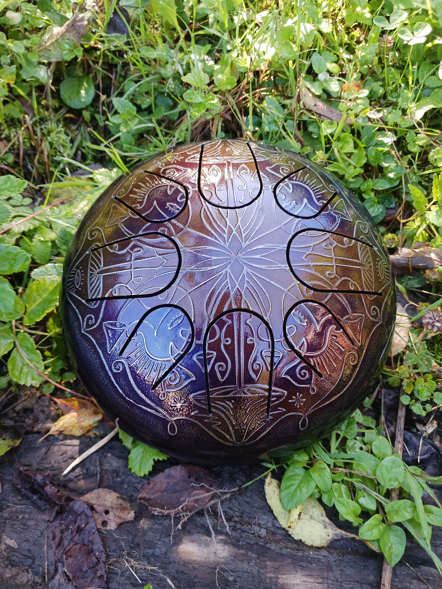 Mystic mushroom